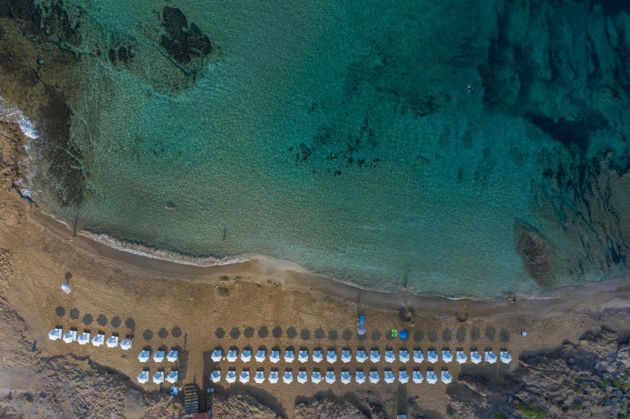 Ifestos Kings Resort Appartment Pafos Dış mekan fotoğraf
