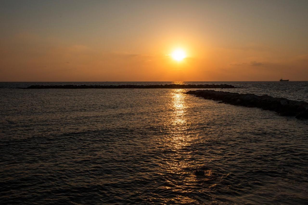 Ifestos Kings Resort Appartment Pafos Dış mekan fotoğraf